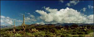 desert landscape